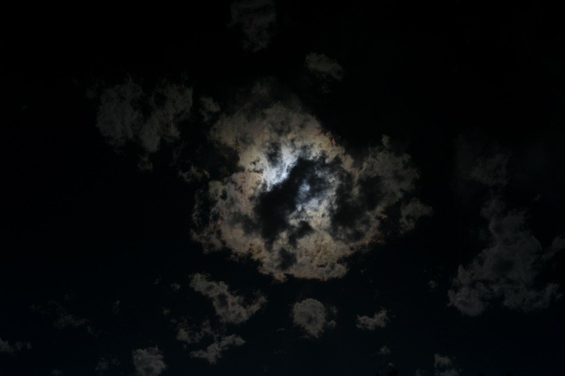 L1009323